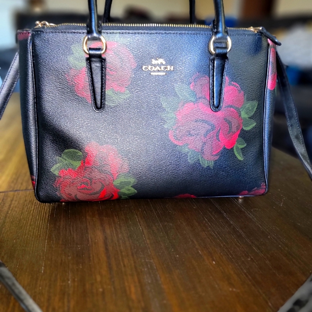 Coach bag & wallet